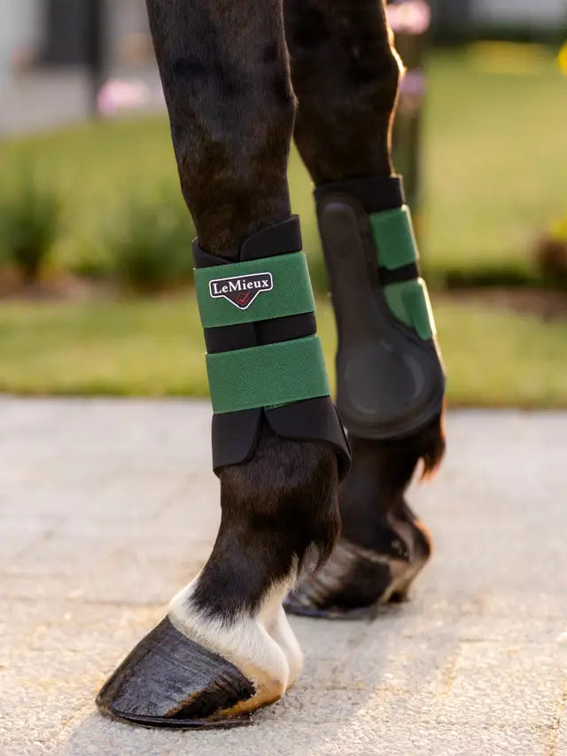 LeMieux Grafter Brushing Boot Hunter Green