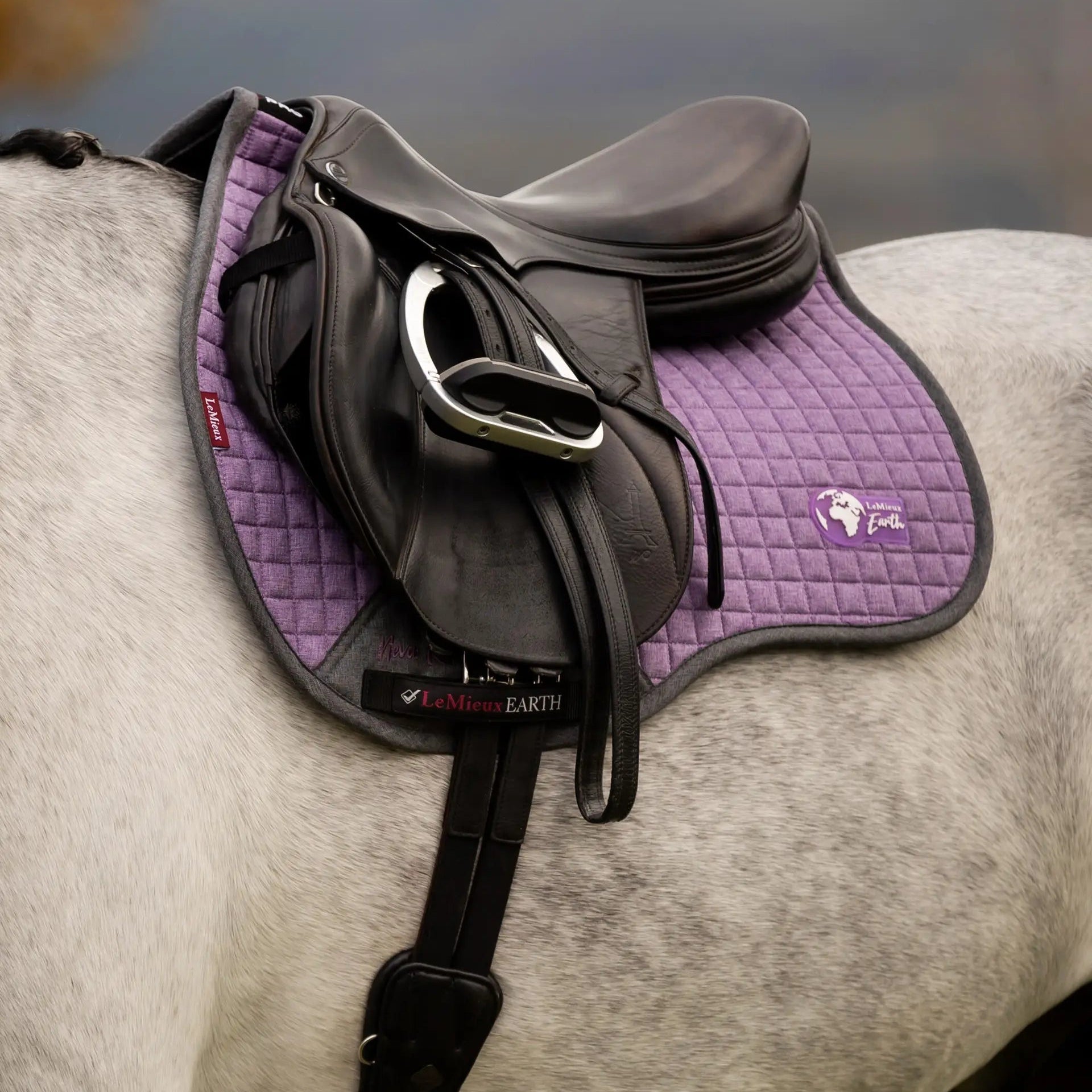 LEMIEUX EARTH GP SQUARE THISTLE Saddle Pad - Equiflair