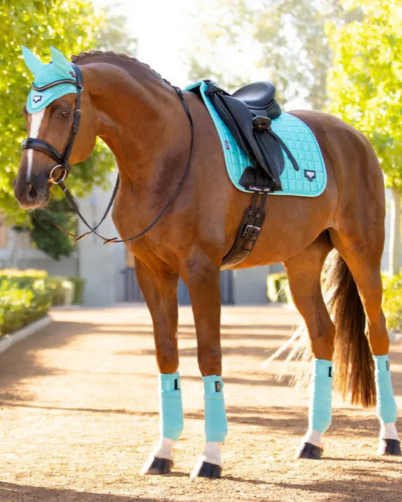 Lemieux Loire Classic Dressage Saddle Pad, Fly Veil, and Bandages in Azure on Horse | Equiflair