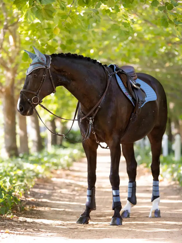 Lemieux Grafter Ice Blue Brushing Boots on Horse | Equestrian Leg Protection by Equiflair