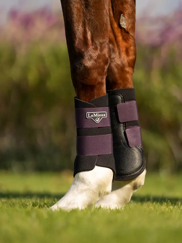 LEMIEUX GRAFTER BRUSHING BOOT FIG Horse Leg Protection Equestrian Boots Purple Durable Brushing Boots Schooling Competition Turnout