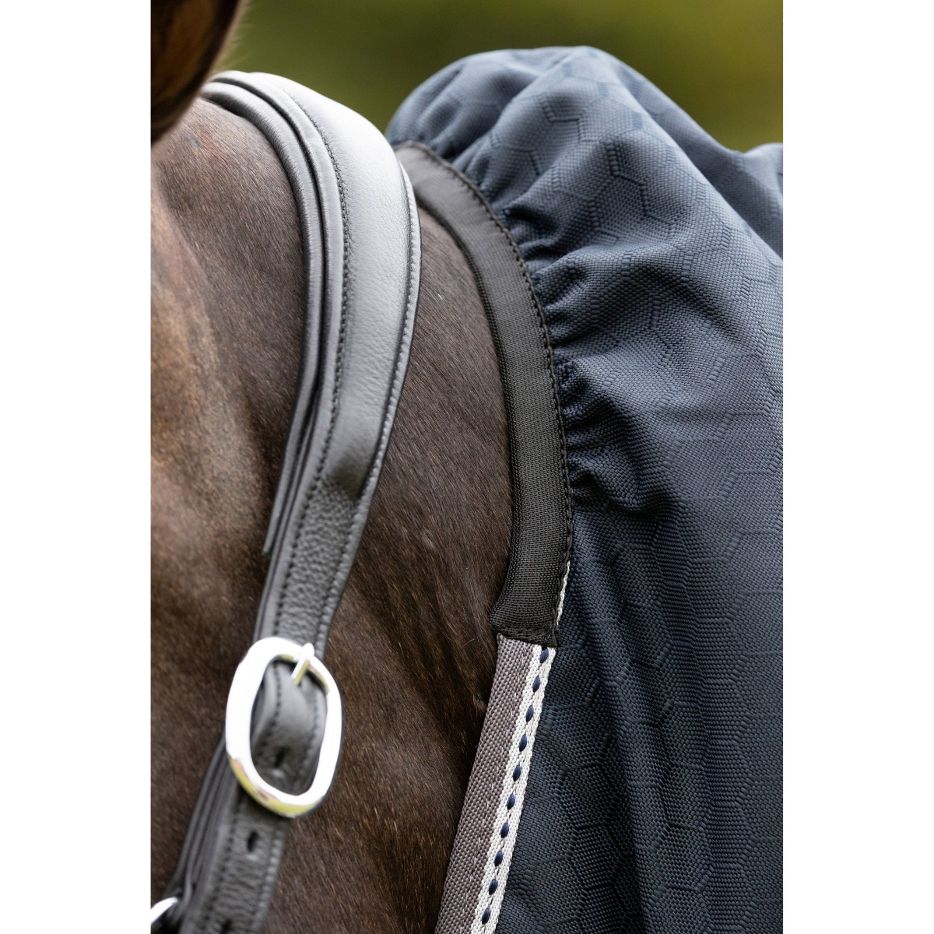 DefenceX Shield 200g Turnout Rug with Detachable Neck - Equiflair Horse Rug