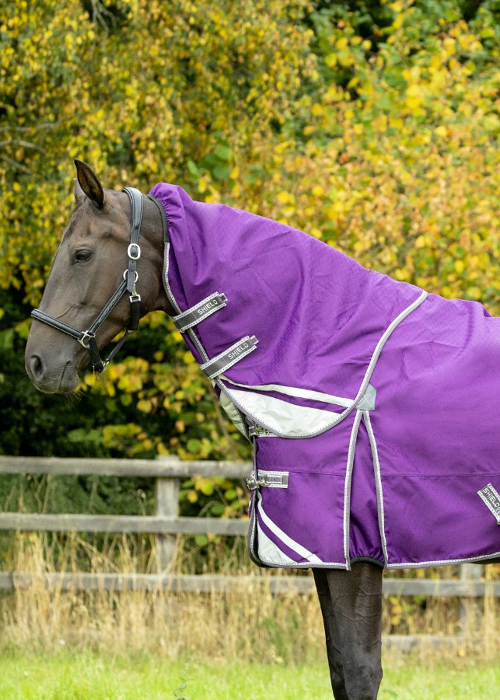 DefenceX Shield 300g Turnout Rug with Detachable Neck Purple | Equiflair
