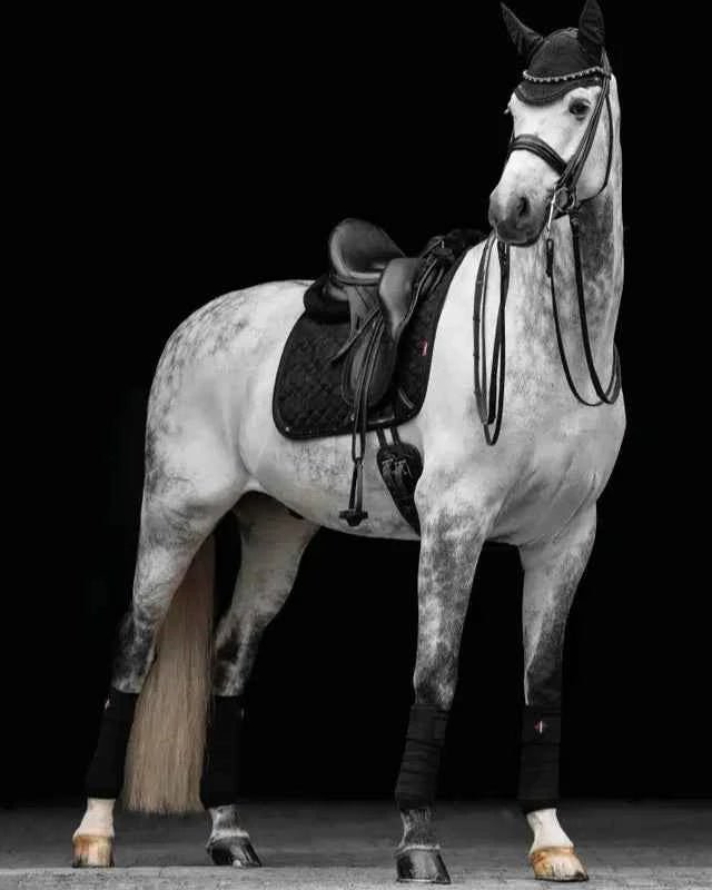 LeMieux Crystal Suede Dressage Square Black