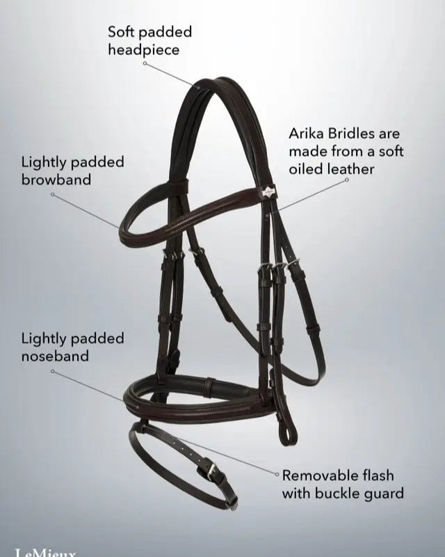 Lemieux Arika Horse Bridle: Leather, Padded Headpiece, Browband, Noseband & Removable Flash | Equestrian Tack