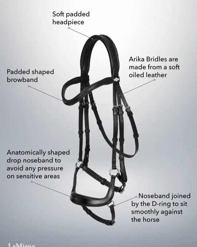 LeMieux Arika Drop Bridle: Anatomical Horse Bridle, Padded Leather, Drop Noseband, Silver Fittings - Equiflair Saddlery