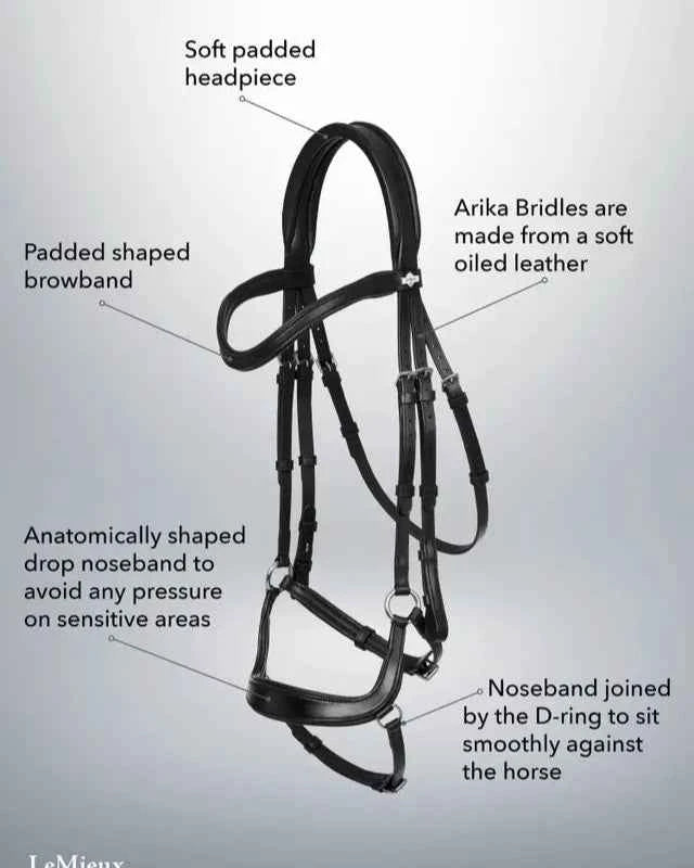 LeMieux Arika Drop Bridle Black/Silver