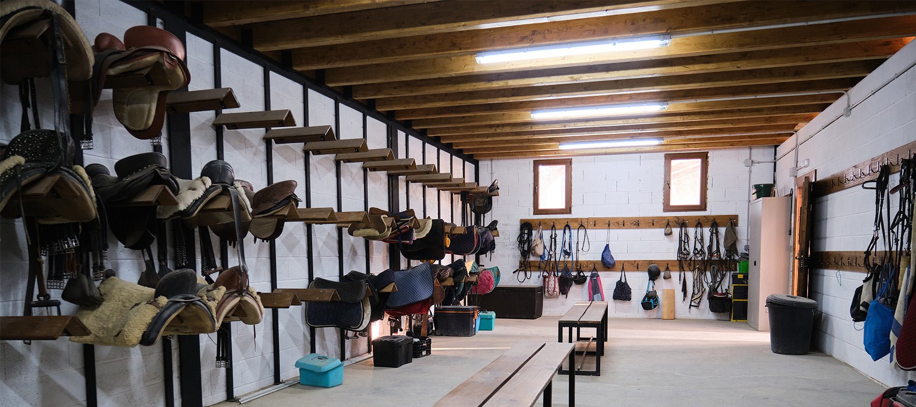 Spring Tack Room Organisation Tips for Horse Riders - Equiflair