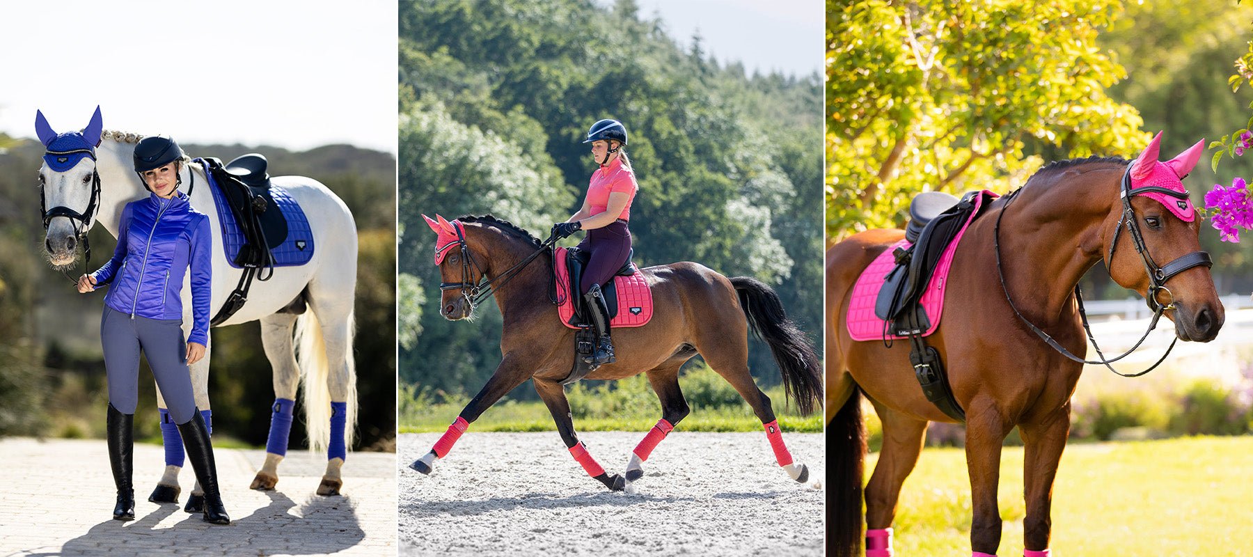 LeMieux Spring Summer Colours: Bluebell, Papaya and Watermelon - Equiflair