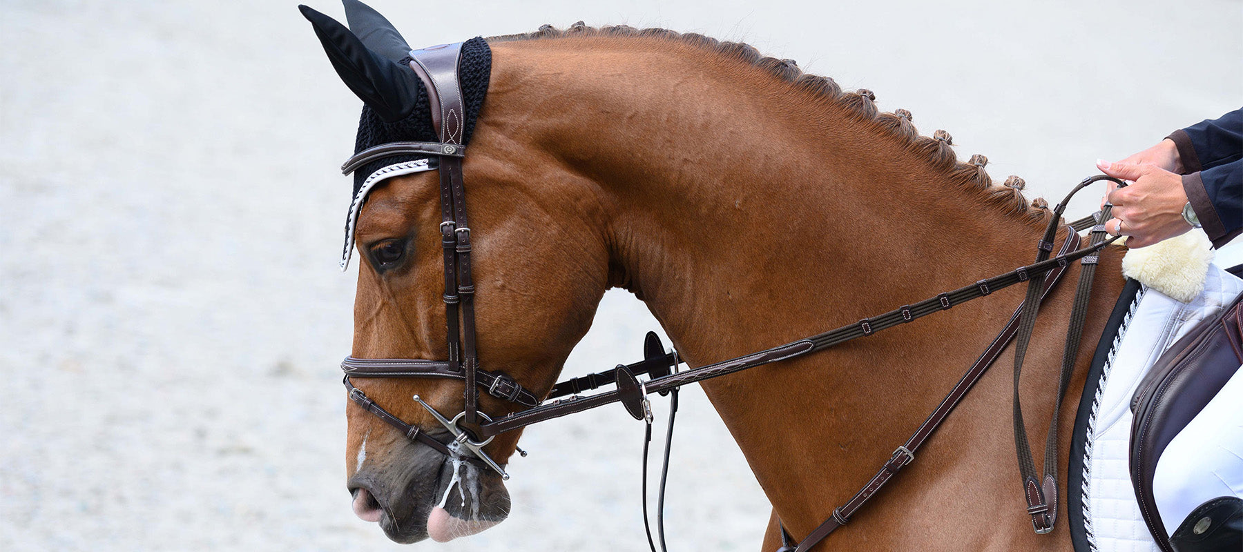 Chestnut coloured horse wearing an anatomical bridle and navy fly veil