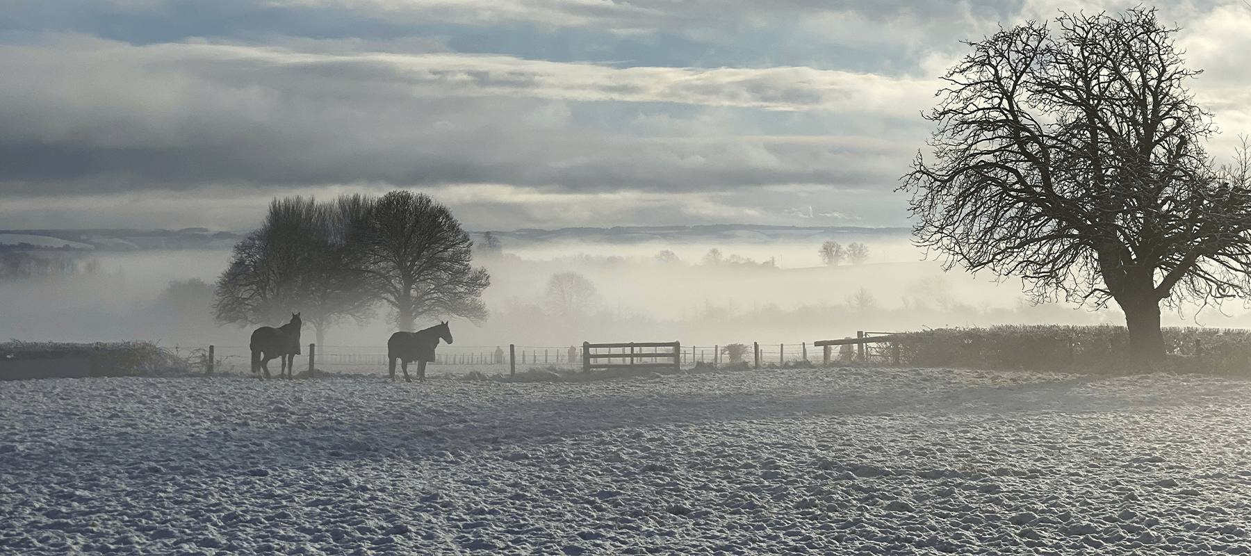 Winter Yard Hacks for Horse Owners - Equiflair