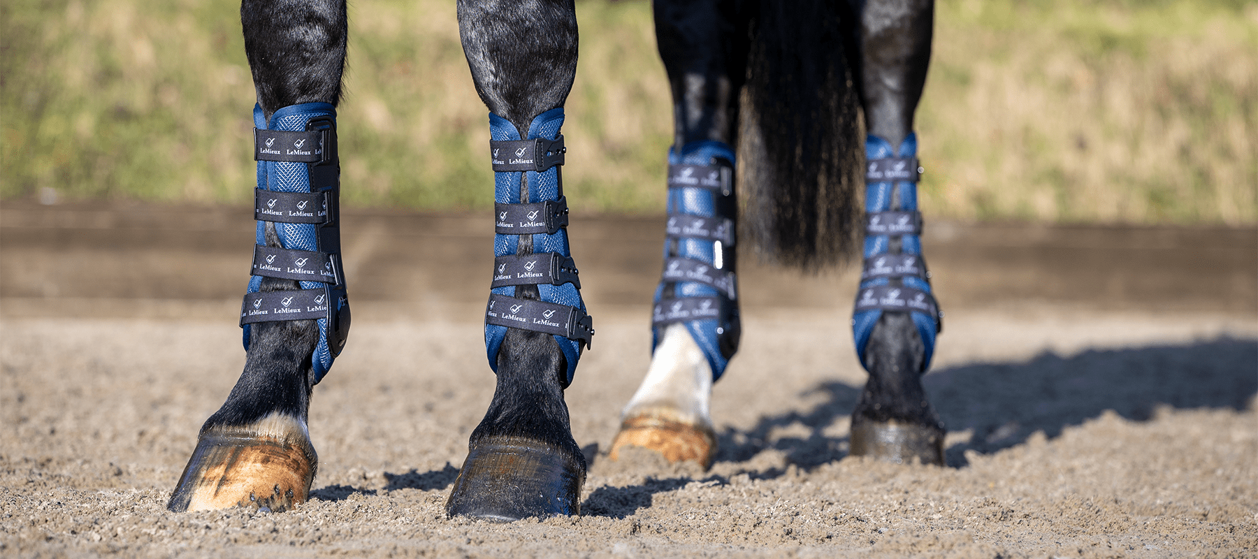 Why You Should Choose Breathable Boots For Your Horse - Equiflair