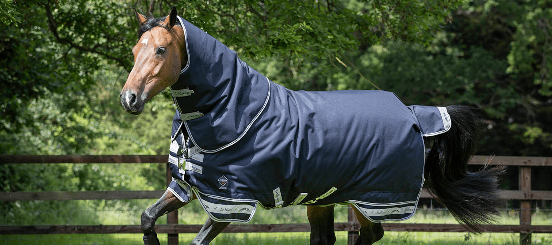 How to Choose the Right Horse Rug for Winte - Equiflair
