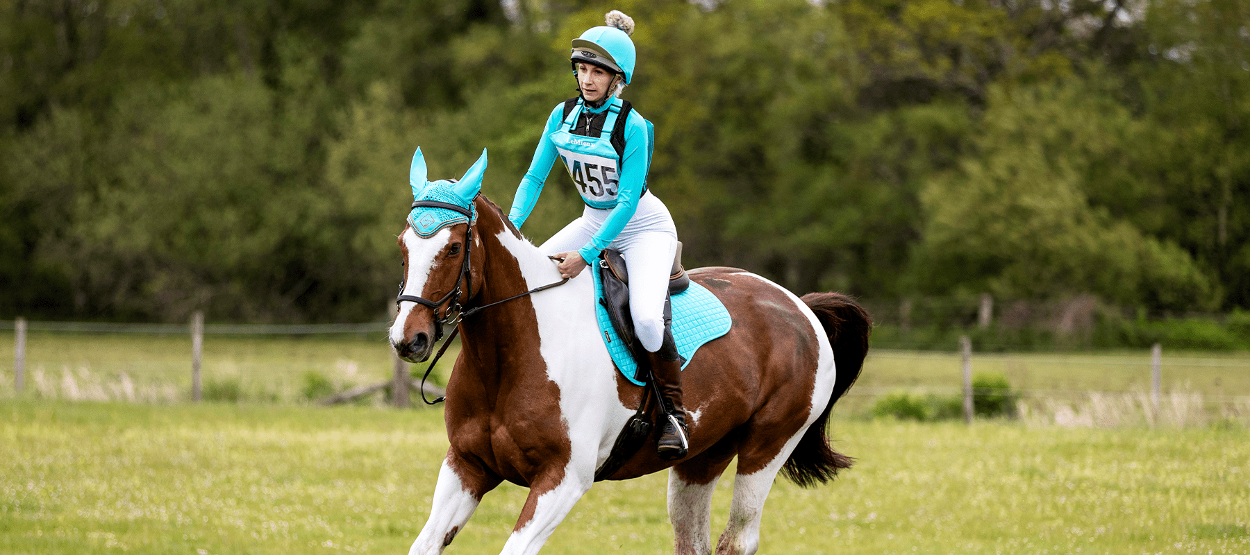 Olympics 2021: Everything You Need to Know About Eventing - Equiflair