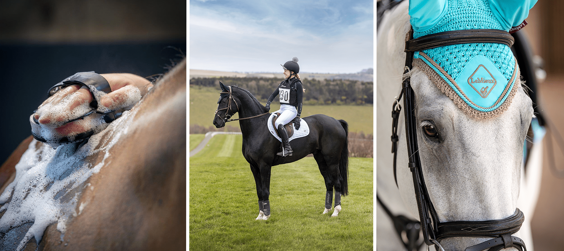 Five Ways To Treat Your Horse This Summer - Equiflair