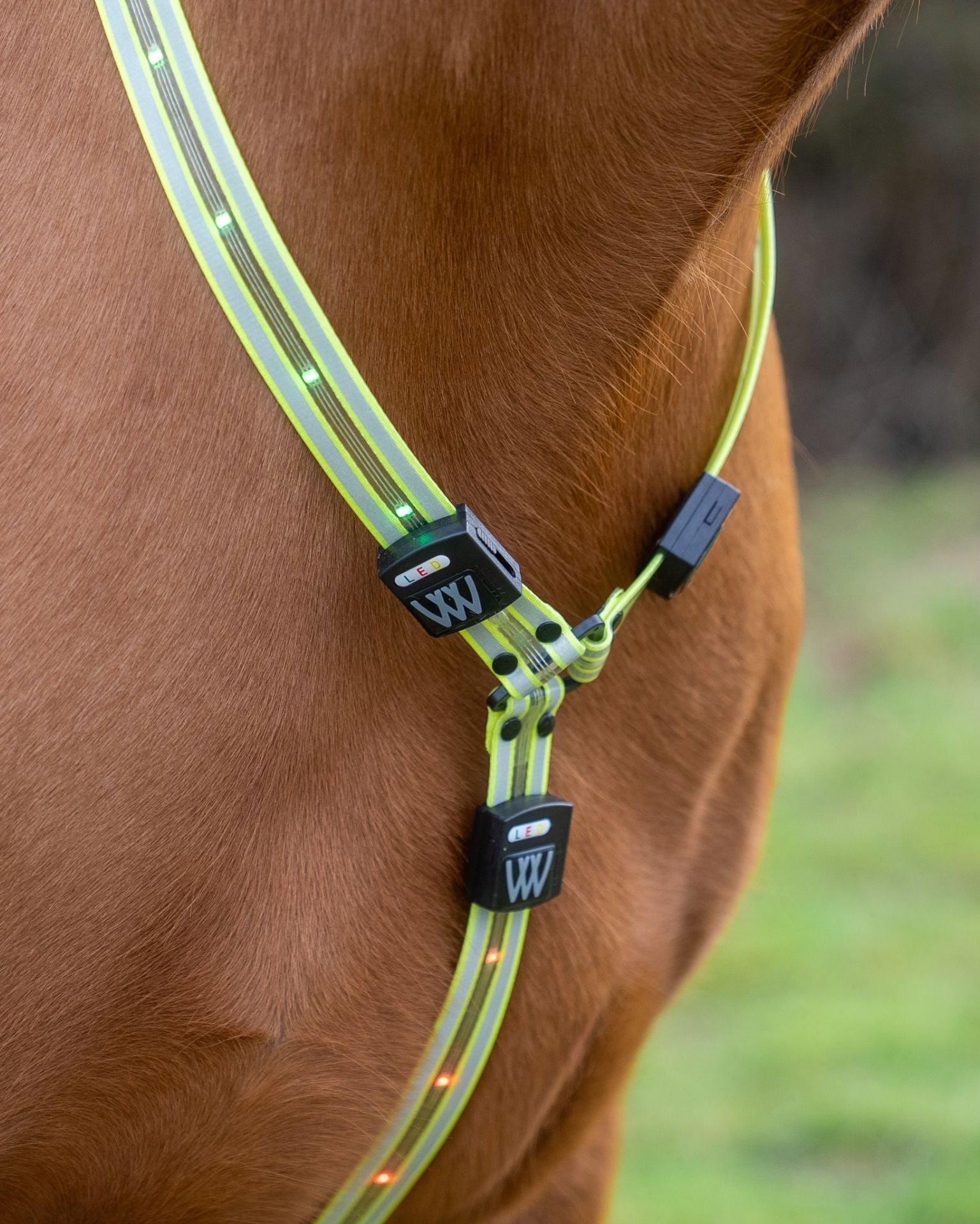 WOOF WEAR LED Neck Band Hi Viz Yellow for Horse Safety | Reflective