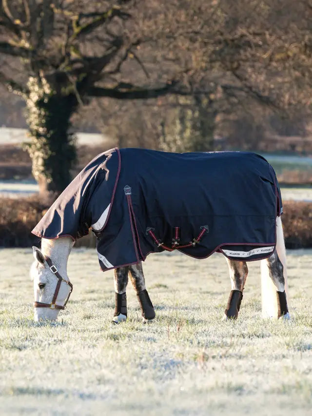 Horse in Lemieux Kudos Turnout Rug Neck Cover, Navy | Equiflair