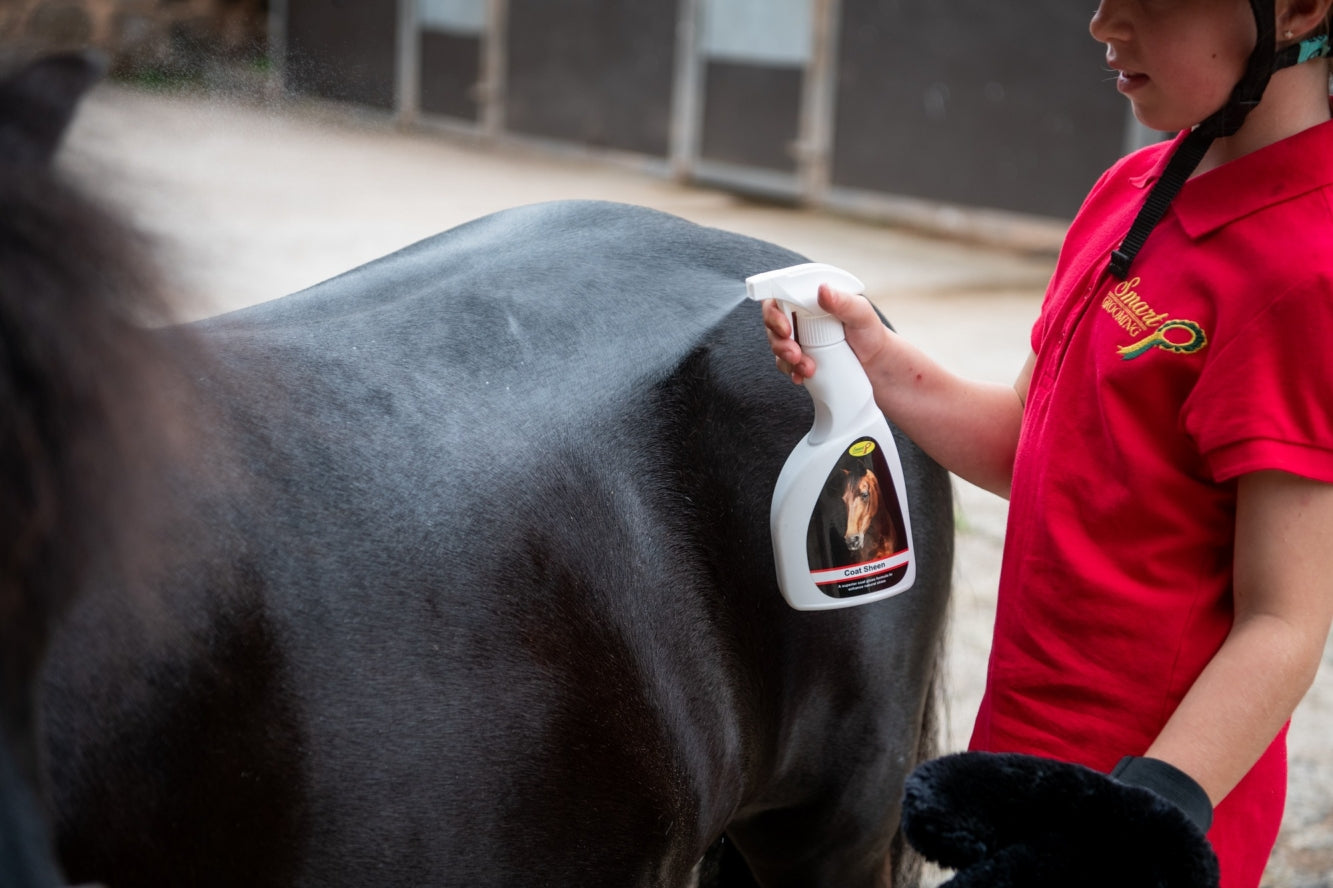 Child grooming horse with Smart Grooming Coat Sheen from Equiflair for a shiny coat.