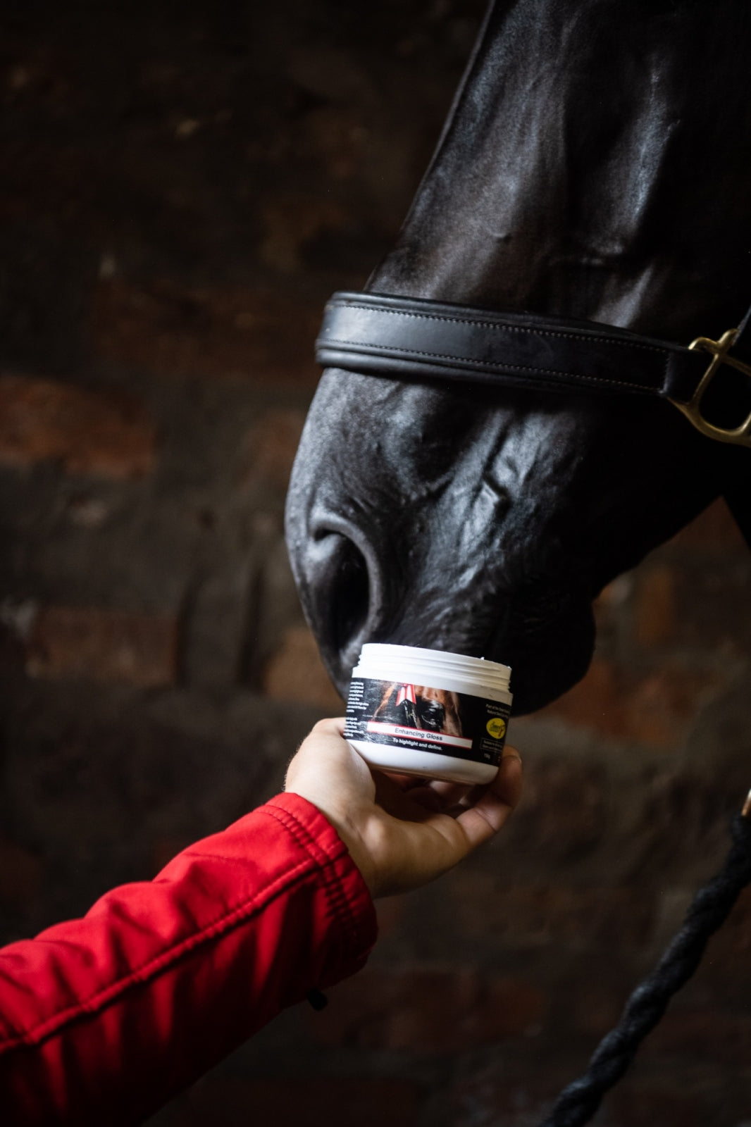 Equiflair Smart Grooming Enhancing Gloss on Horse's Muzzle - Natural Skin Care for Horses