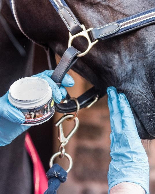 Equiflair Enhancing Gloss Application: Horse Muzzle Grooming with Natural Skin Care Product.