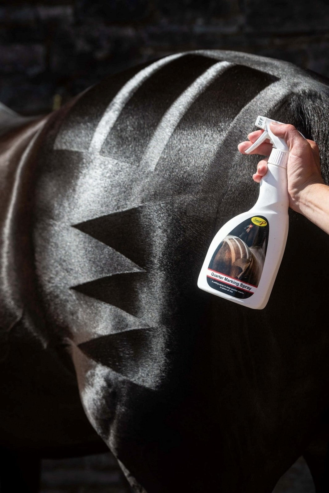 Quarter Marking: Smart Grooming Spray enhancing a dark horse's coat with patterned marks, perfect for shows.
