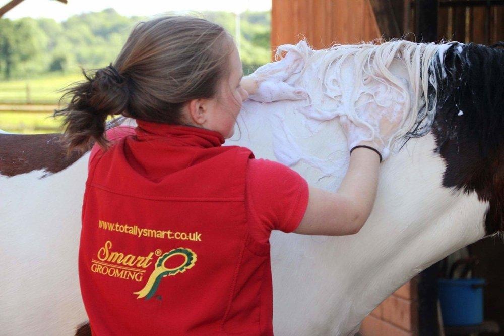 Woman washing horse with Smart Grooming Deep Purple Whitening Shampoo from Equiflair for a super white finish and stain removal.