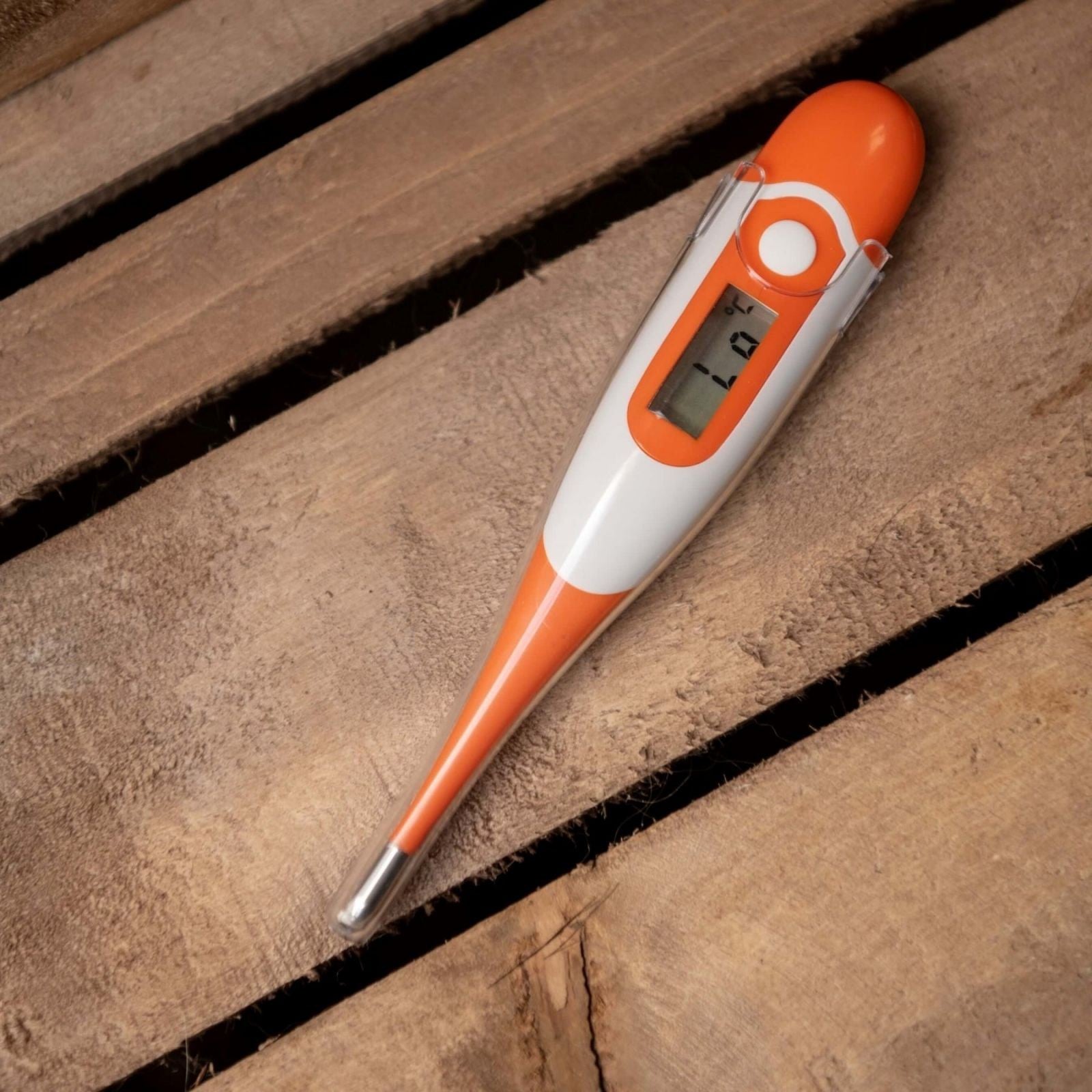 Smart Grooming Digital Thermometer - Equine Health Check - Flexible Probe Accurate Fast Waterproof from Equiflair
