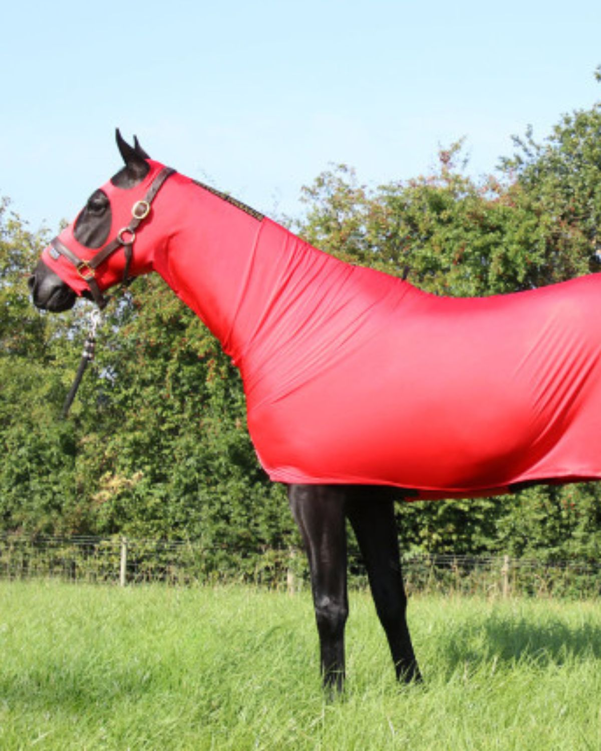 Supreme Products Body Wrap - Red