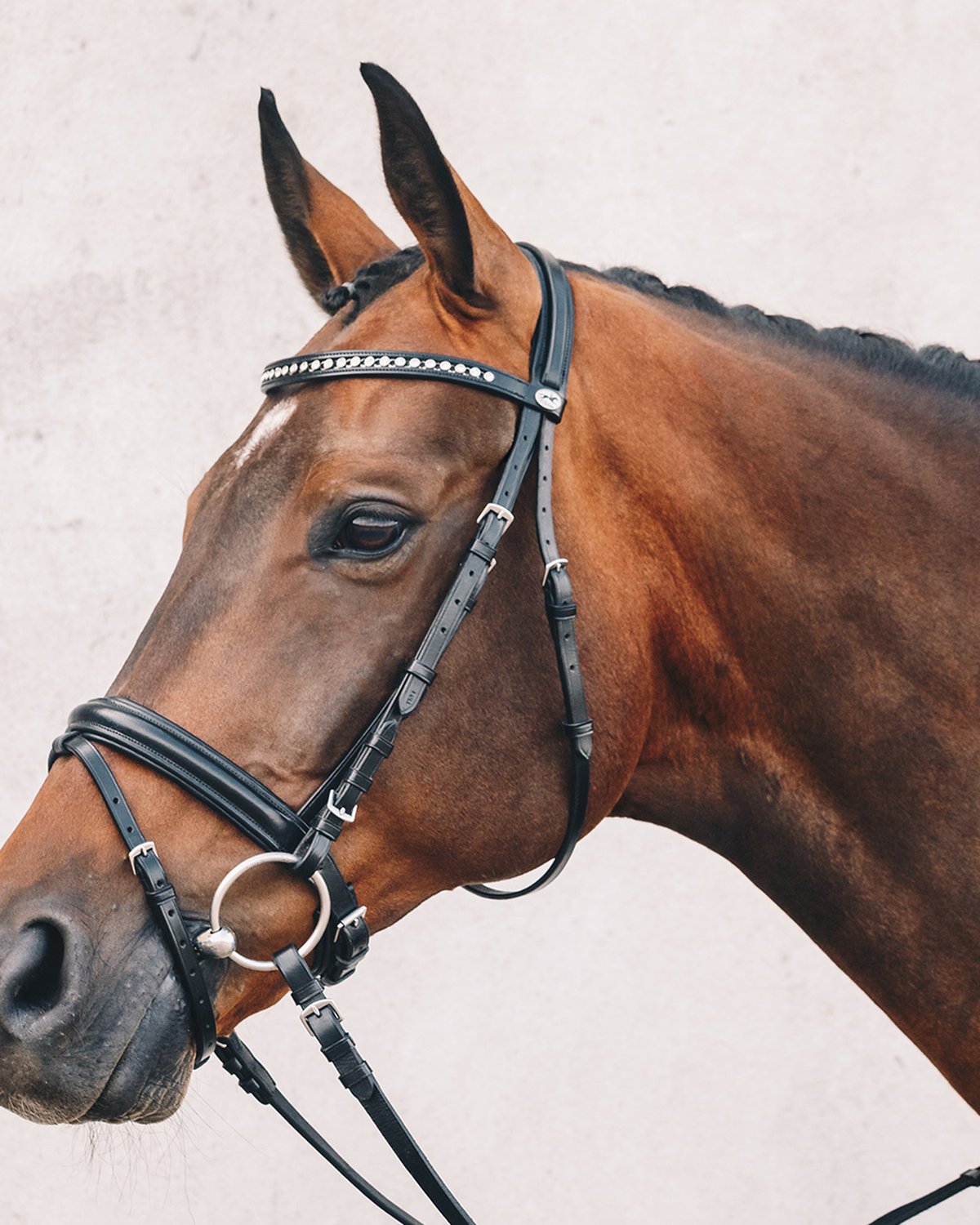 Schockemohle Bridle Berlin black/silver