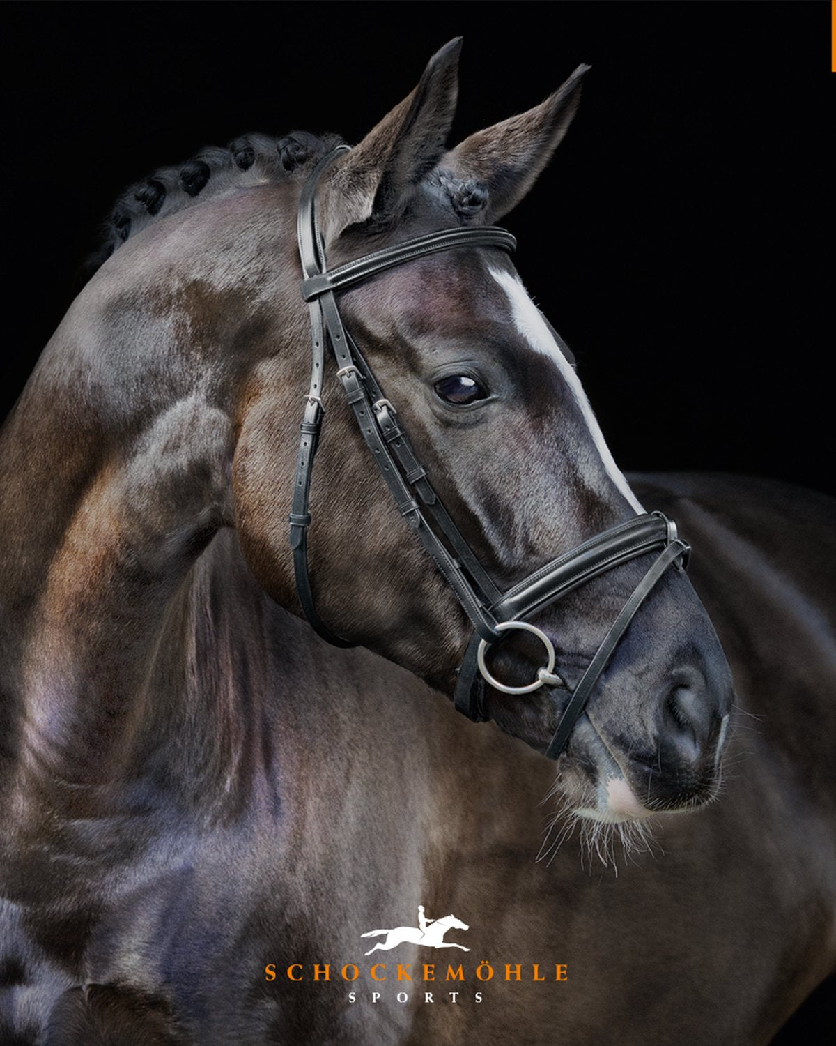 Schockemohle Bridle Mannheim black/silver