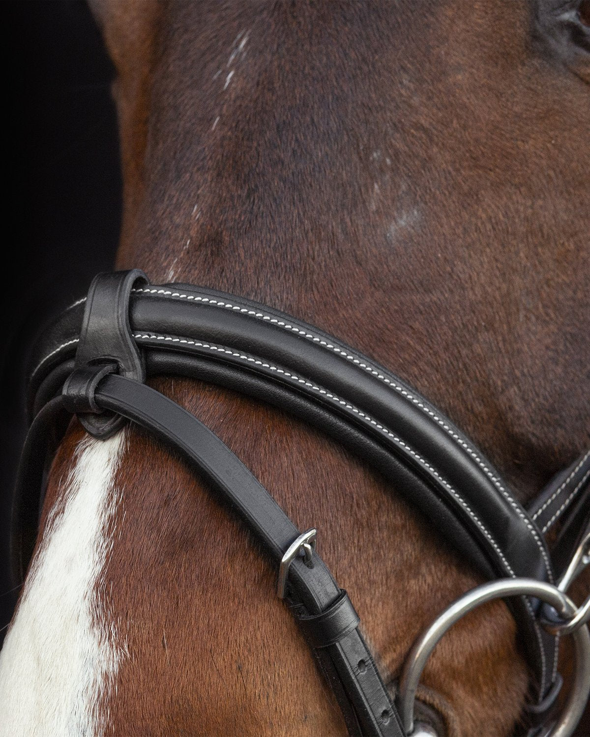 Schockemohle Bridle Dortmund black/cream/silver