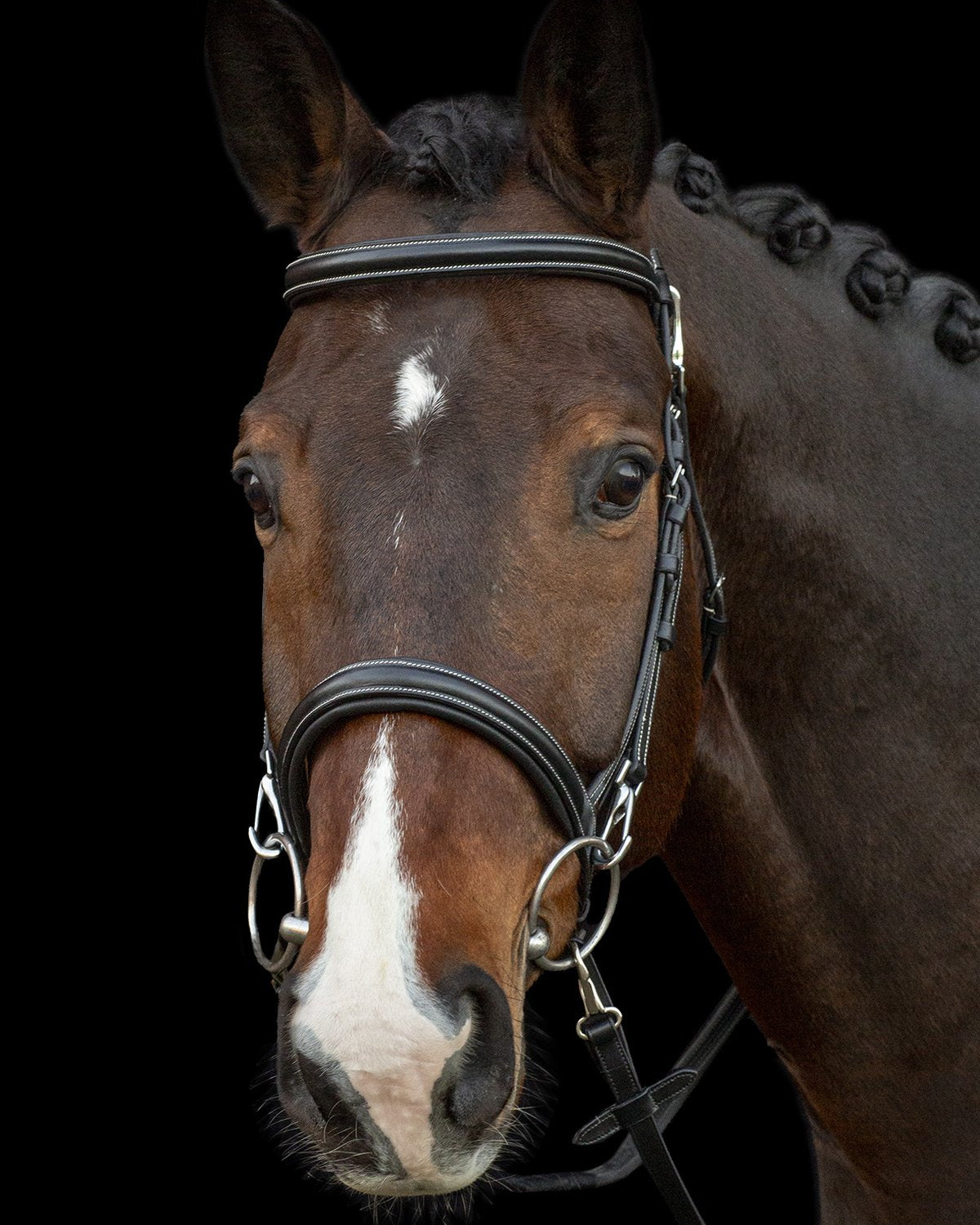 Schockemohle Bridle Dortmund black/cream/silver