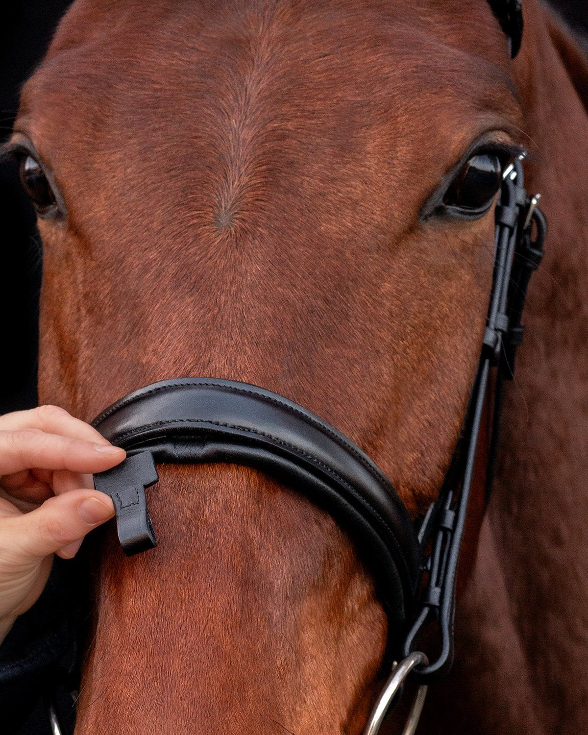 Schockemohle Bridle Malaga black/grey/silver