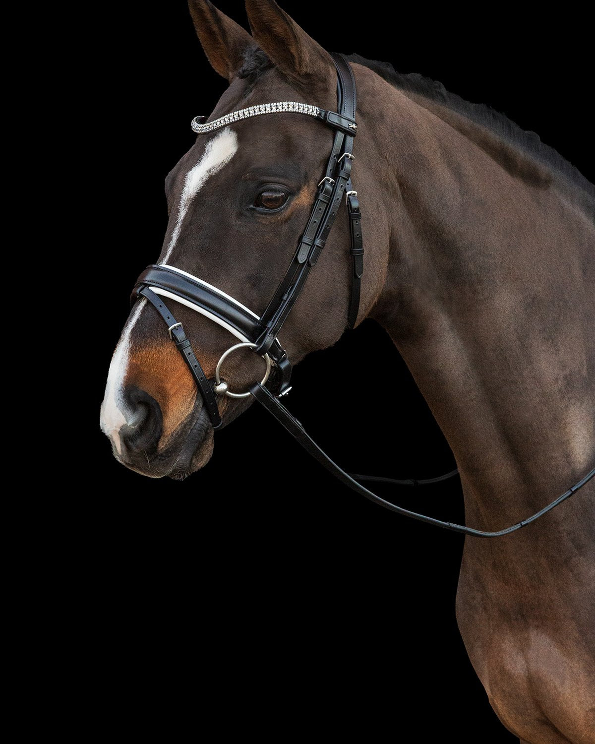 Schockemohle Bridle Malaga black/white/silver