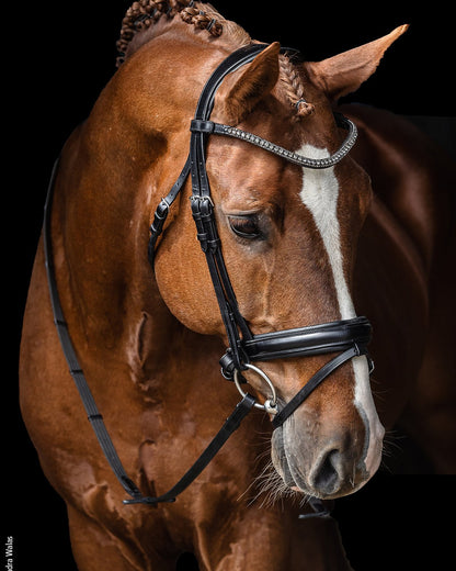 Schockemohle Bridle Malaga black/grey/silver