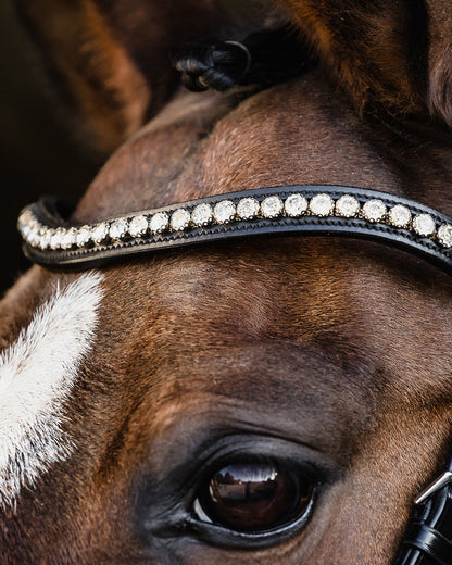 Schockemohle Palermo Black Bridle with Crystal Browband: Close-up of a beautiful horse eye and the bridle's elegant design.