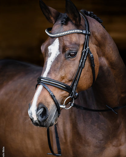 SCHOCKEMOHLE Palermo Black/Patent/Silver Bridle - Anatomical Horse Bridle with Crystal Browband - Equiflair
