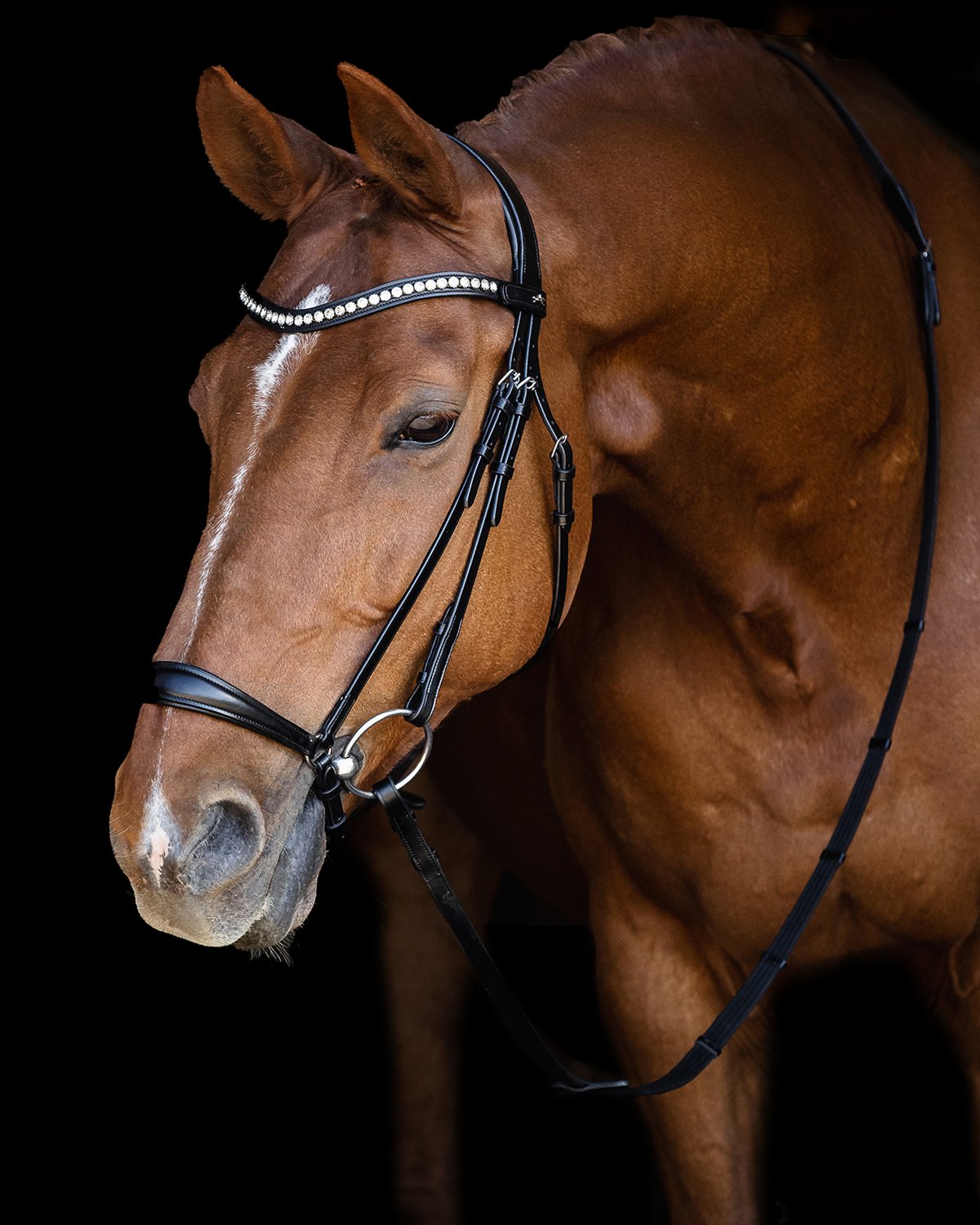 Schockemohle Bridle Pisa black/silver