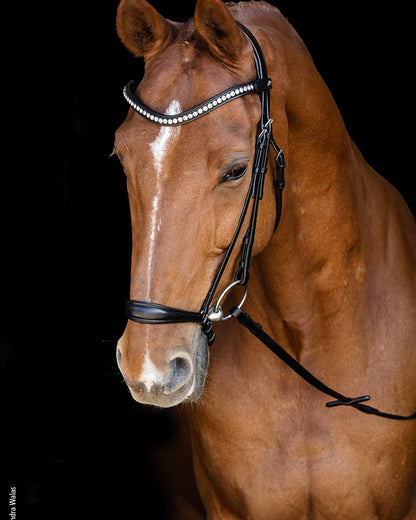 Schockemohle Bridle Pisa black/silver