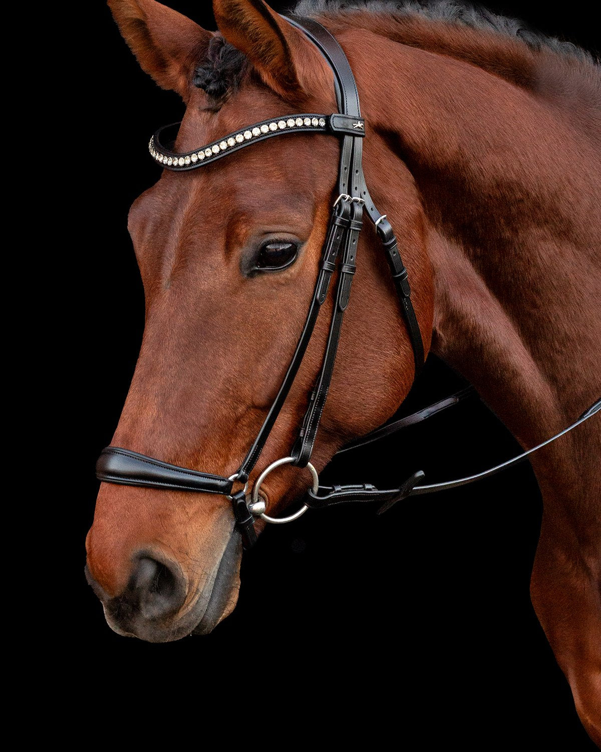 Schockemohle Bridle Pisa black/silver