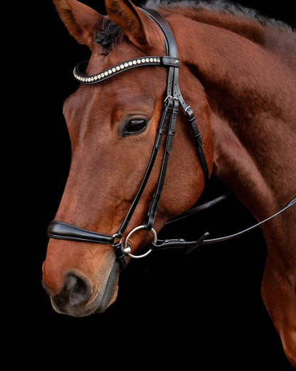 Schockemohle Bridle Pisa black/silver