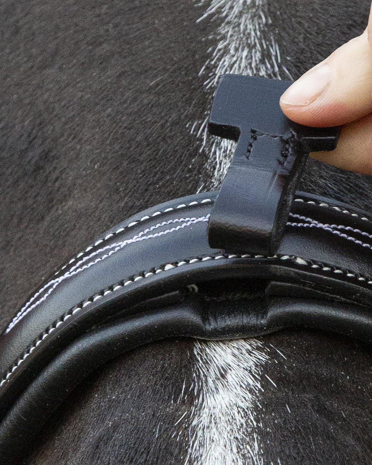 Schockemohle Bridle Monza F black/cream/silver