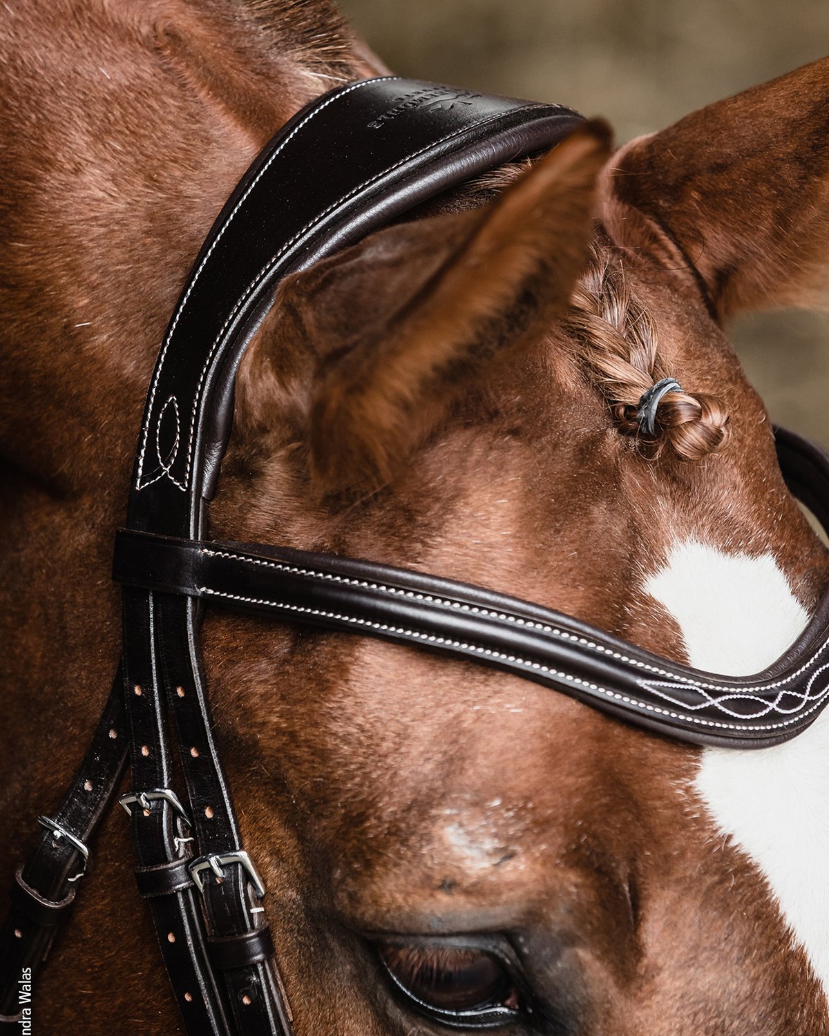 Schockemohle Bridle Monza F black/cream/silver