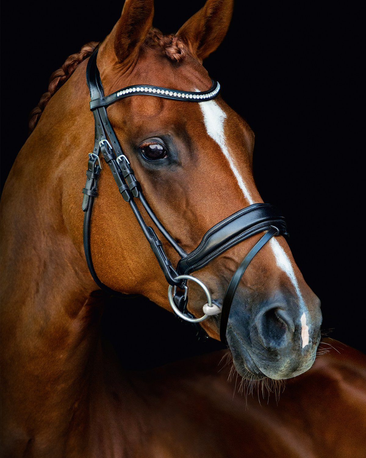 Schockemohle Bridle Malibu black/silver