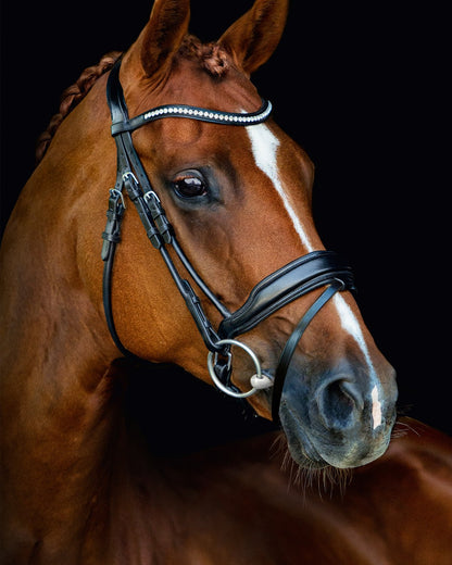 Schockemohle Bridle Malibu black/silver