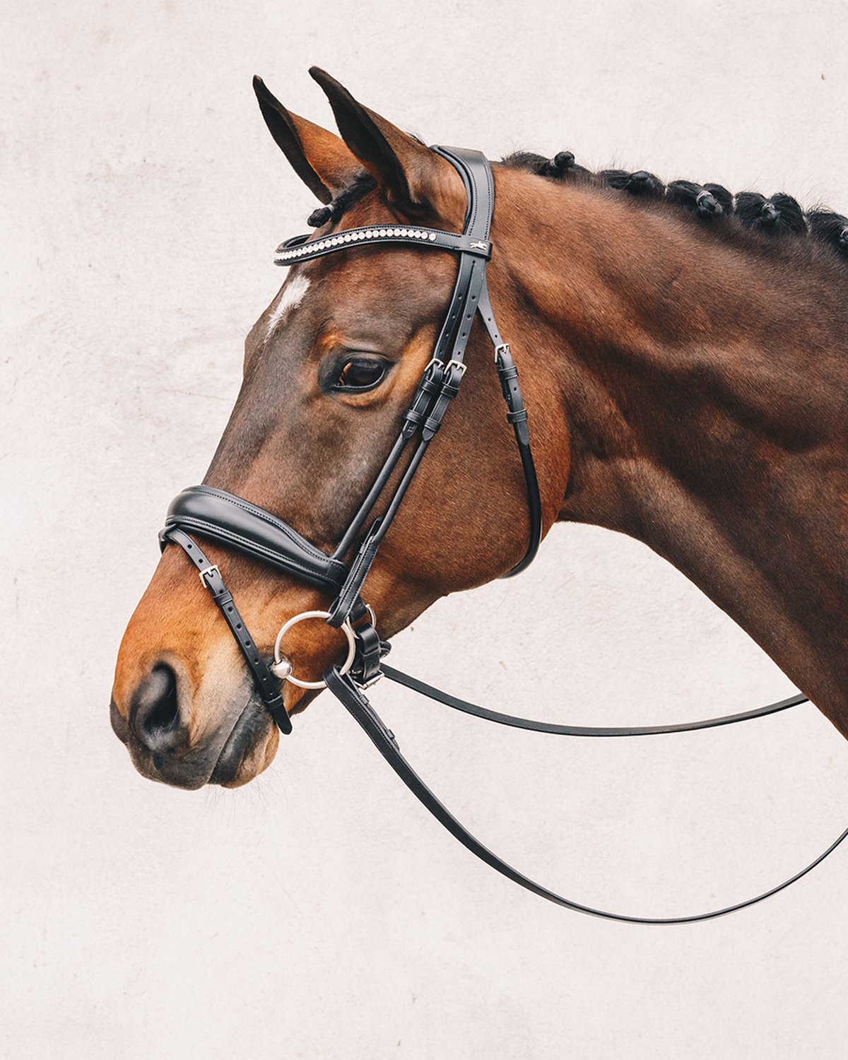 Schockemohle Bridle Malibu black/silver