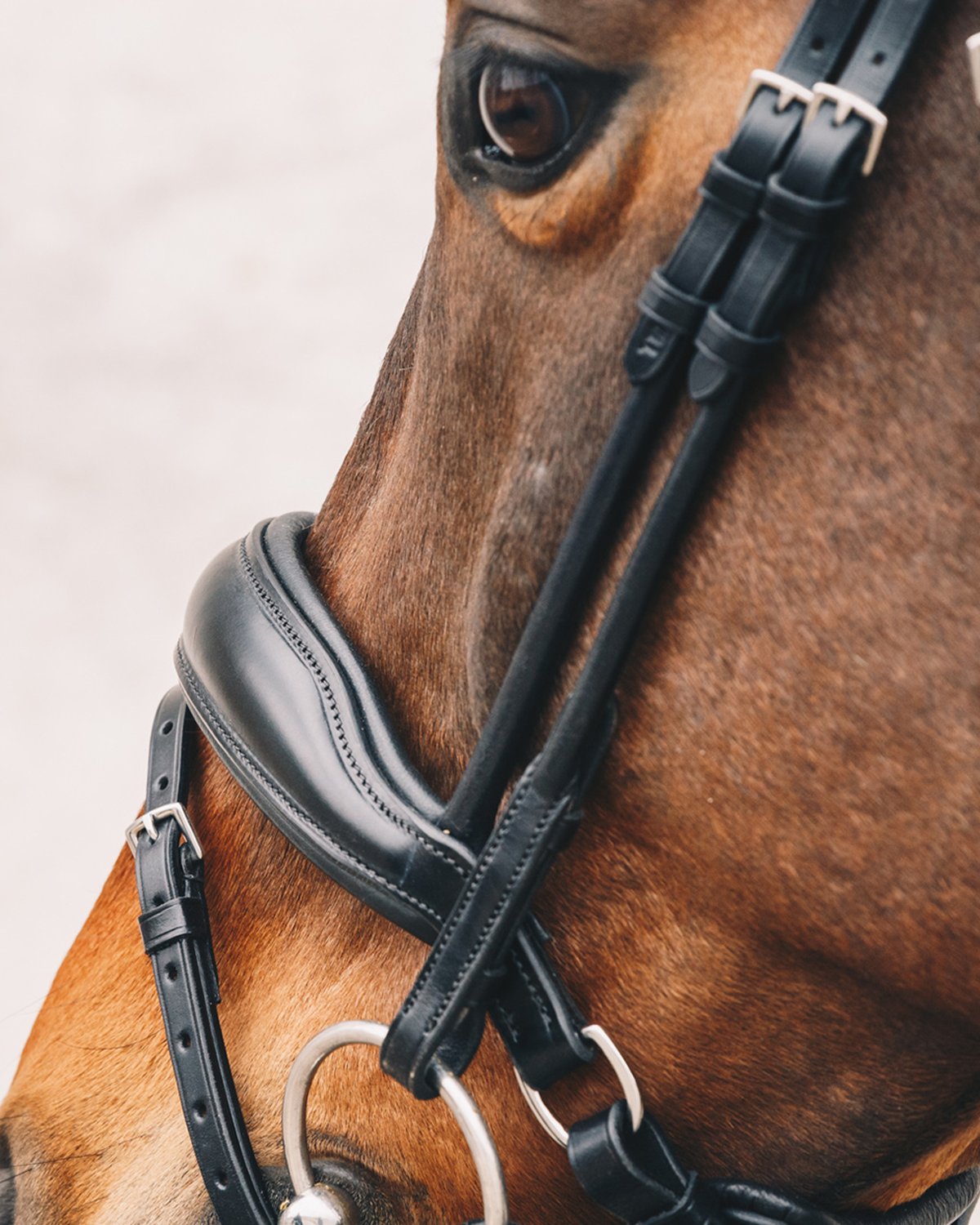 Schockemohle Bridle Malibu black/silver