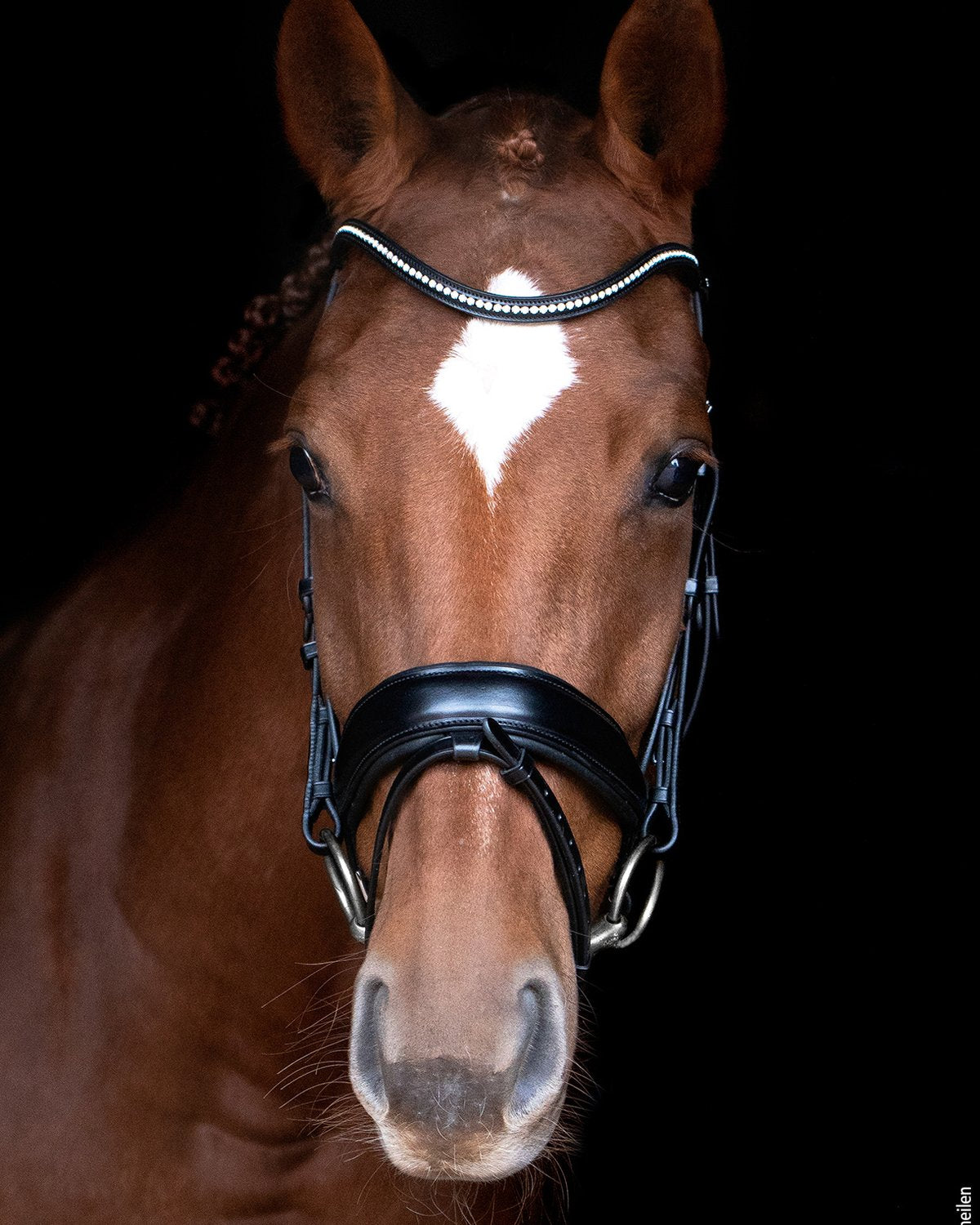 Schockemohle Bridle Stanford black/silver