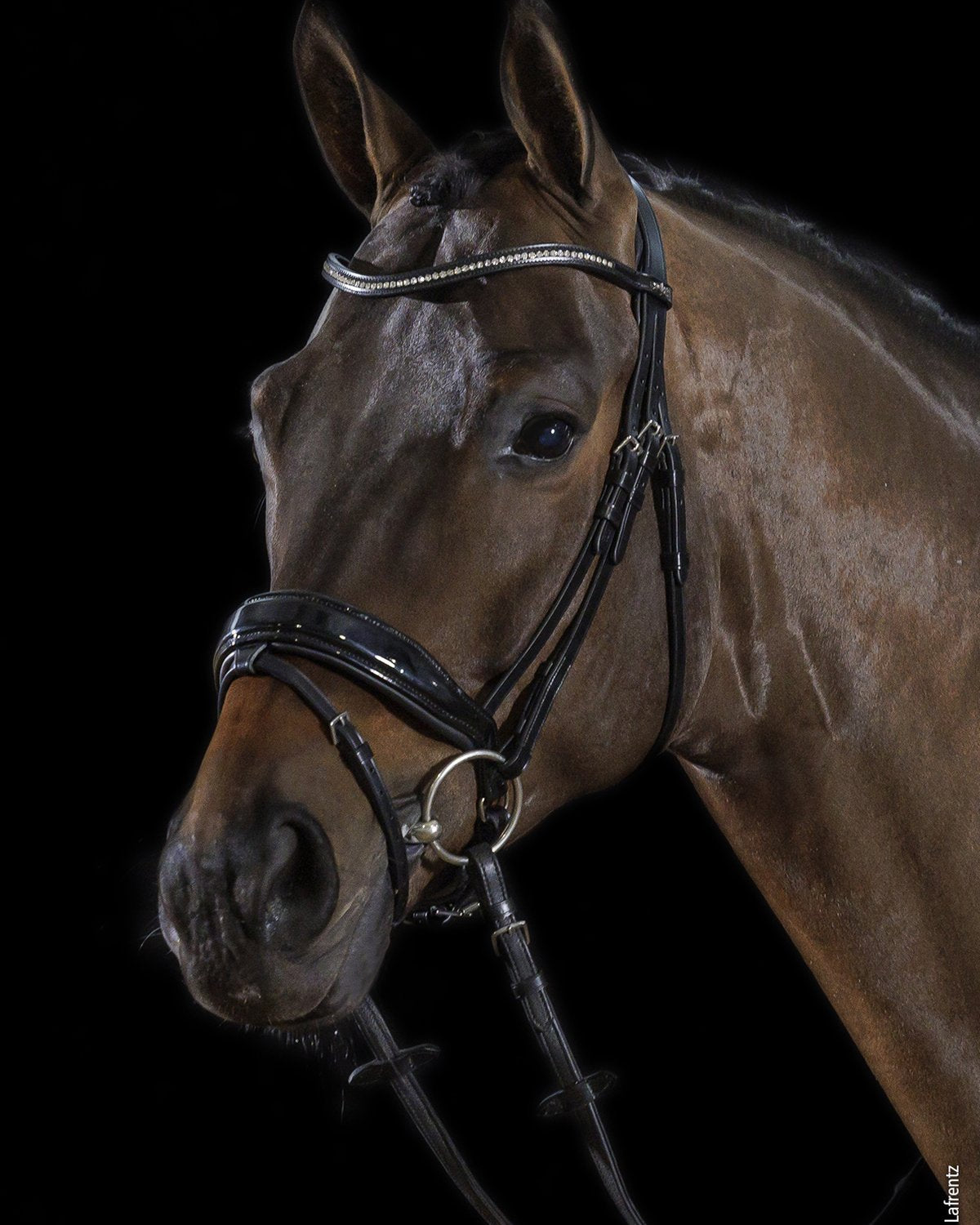 Schockemohle Bridle Stanford black/silver