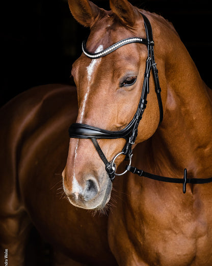 Schockemohle Bridle Equitus Beta black/silver